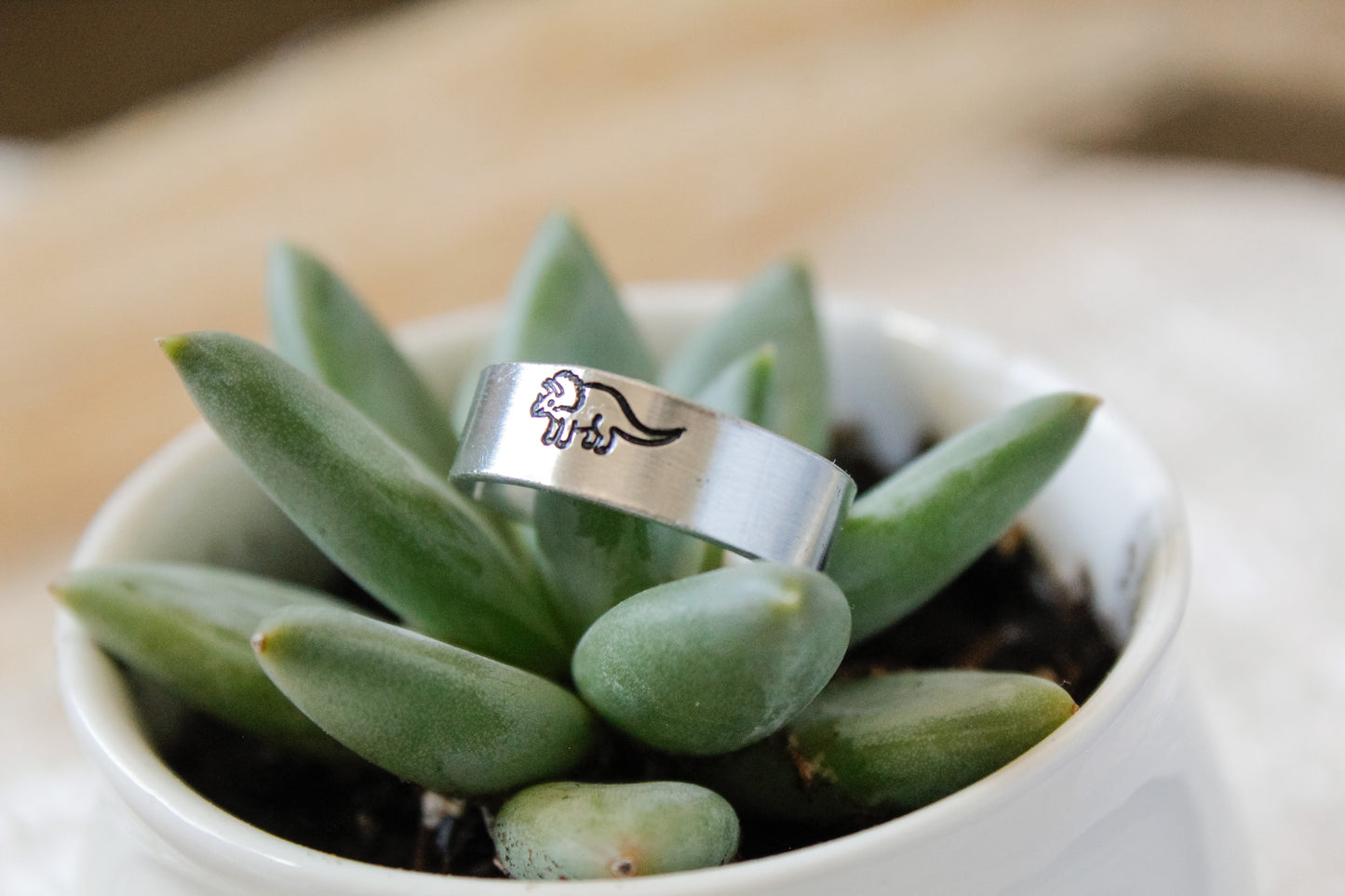 Dinosaur Ring